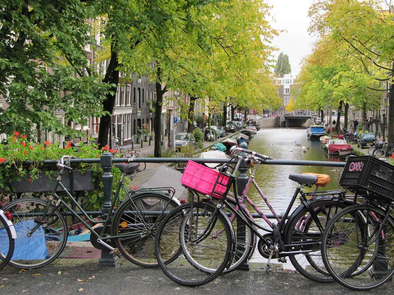 Amsterdam canal with bikes